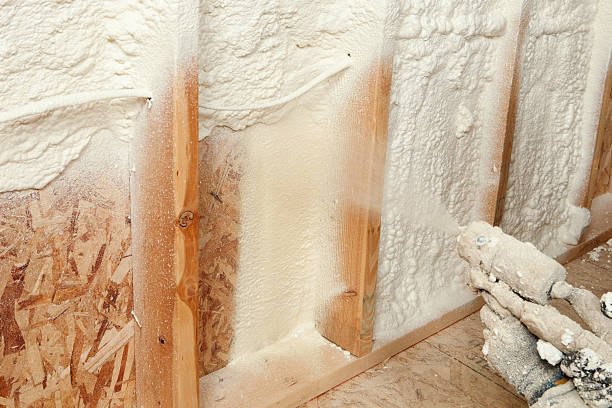 Trusted French Lick, IN Insulation Removal & Installation Experts